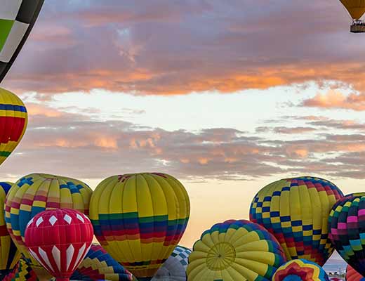 Multiple hot air balloons preparing to ascend during albuquerque's annual balloon fiesta