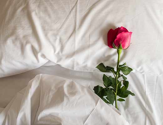 a rose tucked between the sheets of an unmade bed